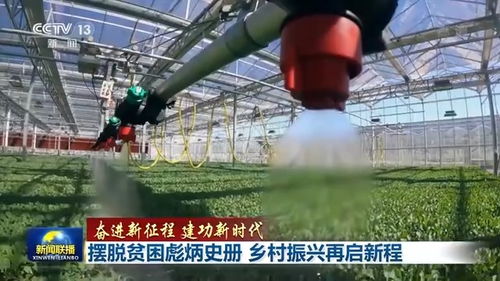 聯(lián)播丨擺脫貧困彪炳史冊 鄉(xiāng)村振興再啟新程 農(nóng)副產(chǎn)品