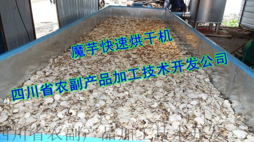 魔芋精粉生產(chǎn)設(shè)備 農(nóng)副產(chǎn)品加工的關(guān)鍵技術(shù)