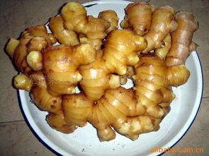 萊蕪市萊城區(qū)振興農(nóng)副產(chǎn)品綜合加工廠 推動(dòng)農(nóng)副產(chǎn)品精深加工，助力鄉(xiāng)村振興