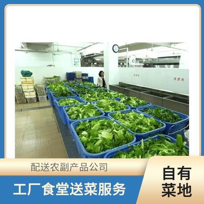 東莞蔬菜配送服務(wù) 保障新鮮農(nóng)副產(chǎn)品直達(dá)餐桌