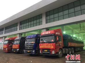 海口大型公益性農(nóng)副產(chǎn)品批發(fā)市場(chǎng)啟動(dòng)試運(yùn)營(yíng)，39家一級(jí)批發(fā)商入駐開(kāi)啟惠民新篇章