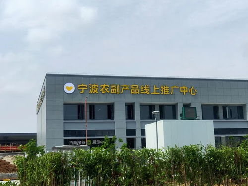 寧波農(nóng)副產(chǎn)品物流中心一期試運(yùn)營(yíng)開(kāi)啟 農(nóng)產(chǎn)品流通新樞紐，便捷交通指南助您暢行